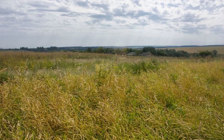 Код села. Село Бельдяжки Кромского района Орловской области. Колки Кромской район. Большая Колчева Кромской район Орловская область. Природа Кромского района.